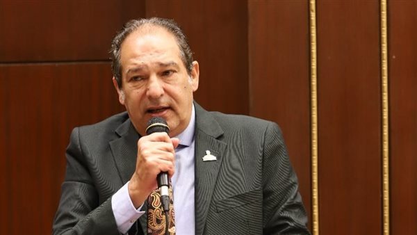 النائب حسام الخولي