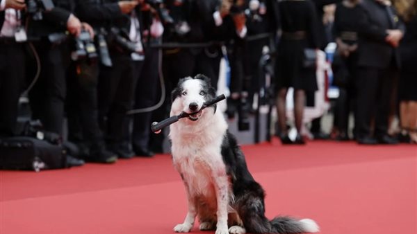 حفل افتتاح مهرجان