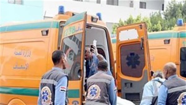 مصرع مسن بكفر الشيخ