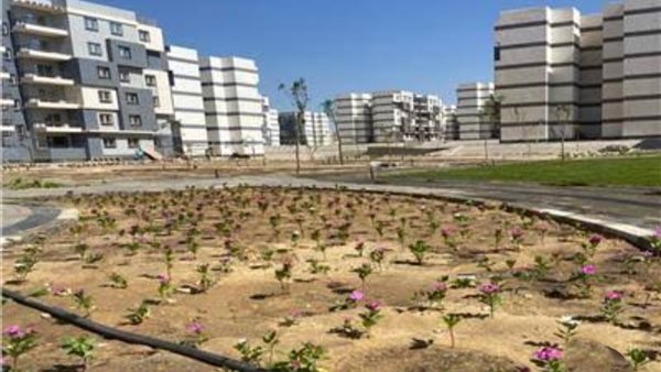 اراضي بيت الوطن بالعبور