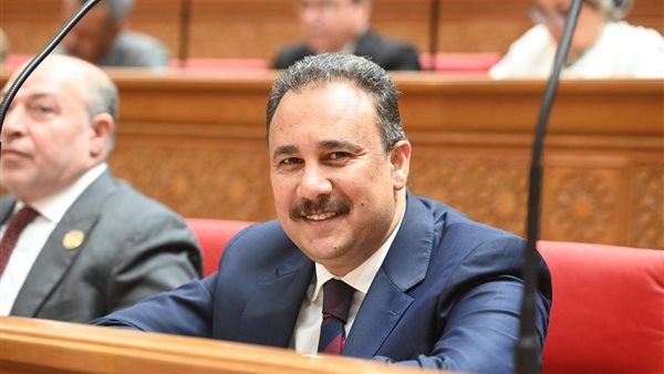 النائب وليد فتحي