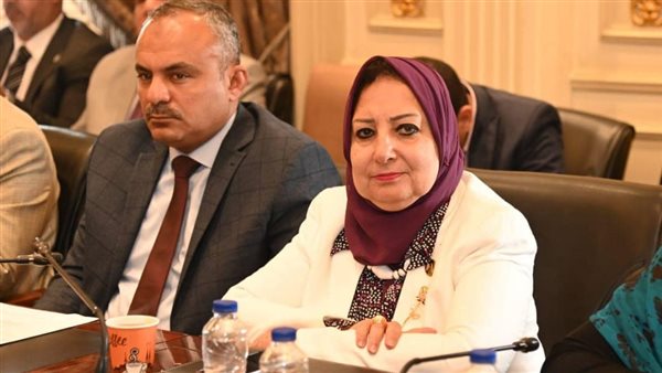   النائبة نسرين عمر