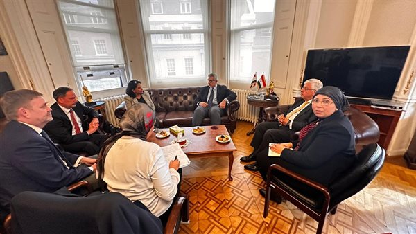 وزير التعليم العالى