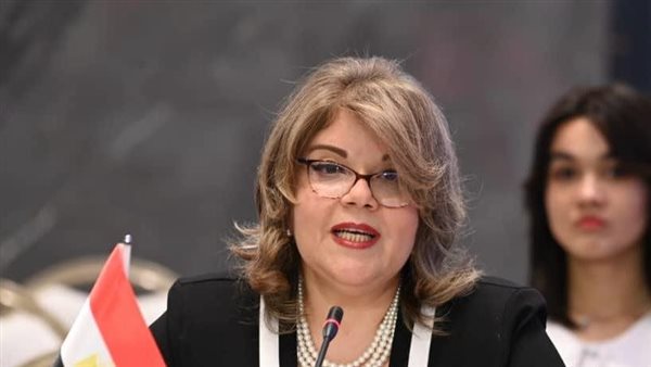 وكيل مجلس الشيوخ