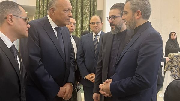 سامح شكري - محمد