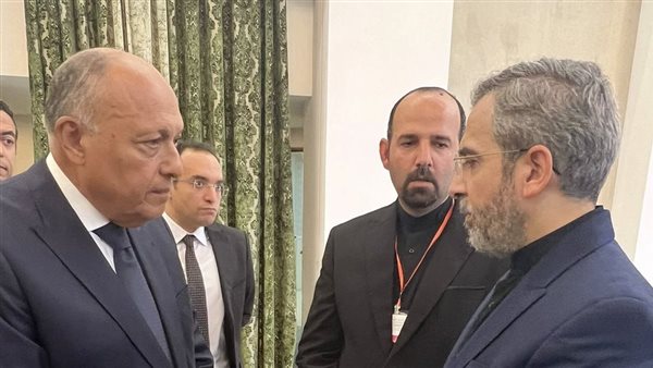 شكري - على باقري