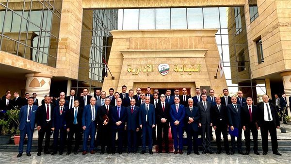 النيابة الإدارية