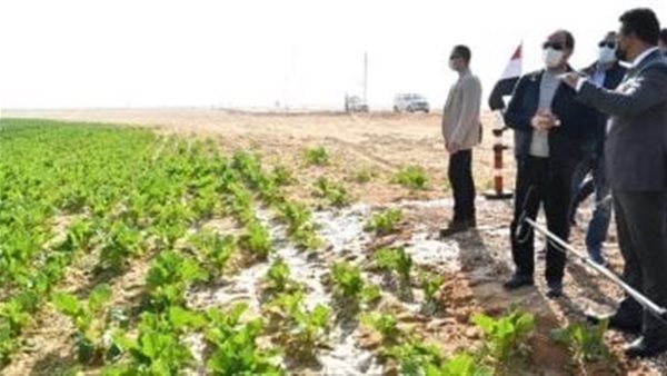 السيسي والزراعة