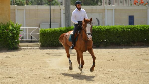 الدكتور أسامة الأزهري