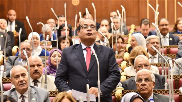 النائب حافظ فاروق