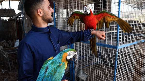  فتحي أحمد جمعة مع