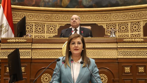 د.هالة السعيد وزيرة