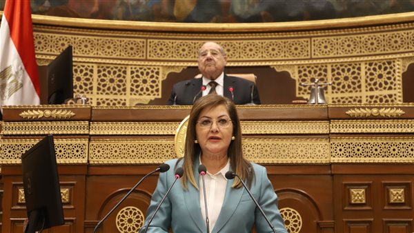 وزيرة التخطيط