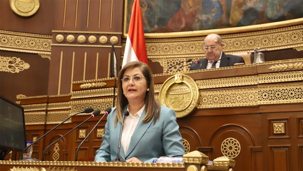 وزيرة التخطيط والتنمية