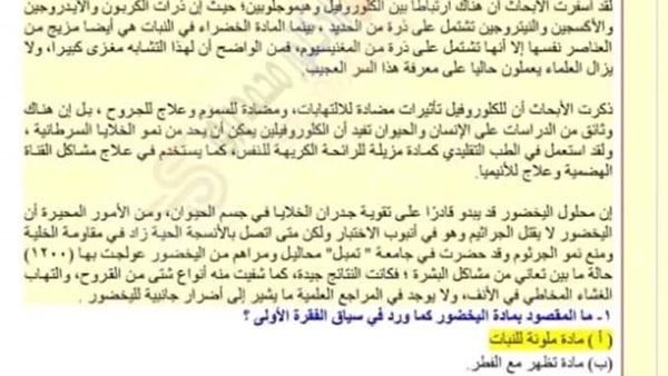 نموذج امتحان اللغه