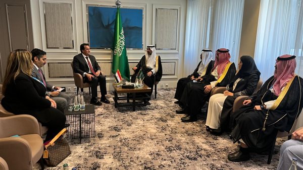 جانب من اللقاء