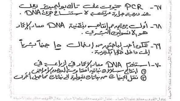 ملخص DNA لطلاب الثانوية
