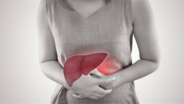 صحة الكبد والكلى