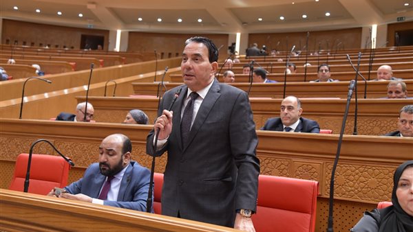  وزير المالية