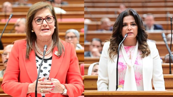 وزيرة التخطيط والنائبة