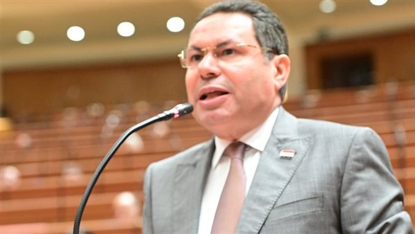 النائب هشام الحصري