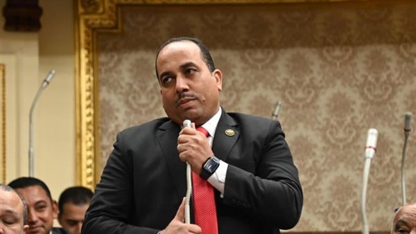 النائب أشرف أبو الفضل