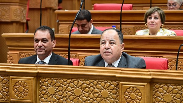 وزير المالية