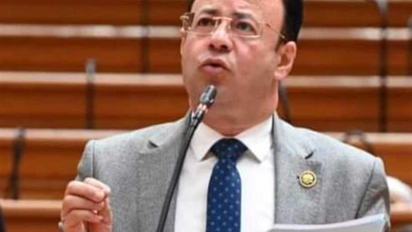 النائب محمود البرعي،