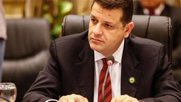 النائب طارق رضوان