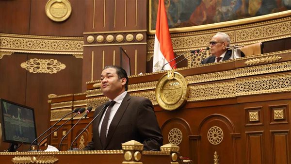 نائب التنسيقية محمد