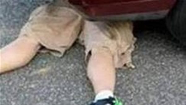 مصرع شخص صدمته سيارة