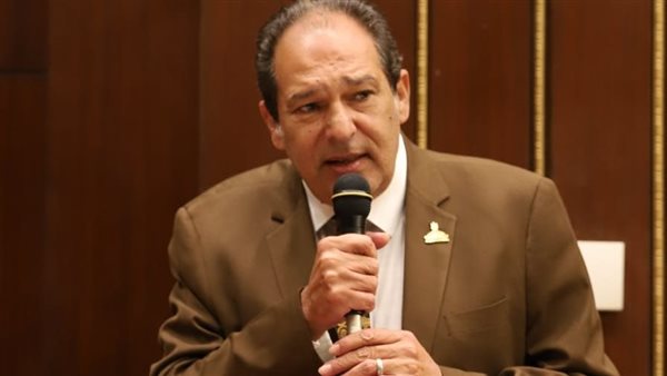  النائب حسام الخولي