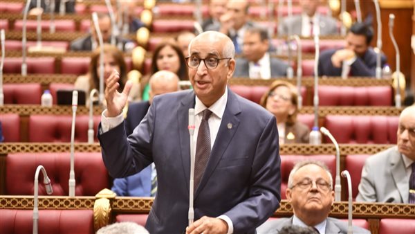 النائب حسانين توفيق،