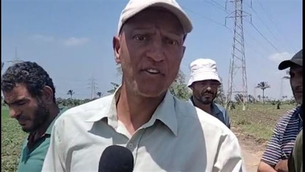 مزارعي دمياط