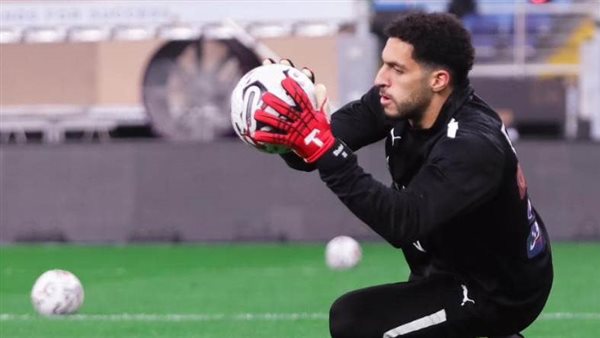 مصطفى شوبير