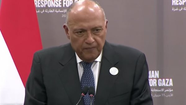 وزير الخارجية سامح