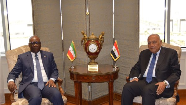 سامح شكري- سيميون