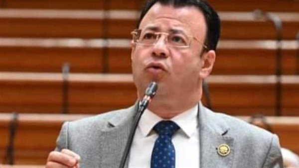 النائب محمود البرعي