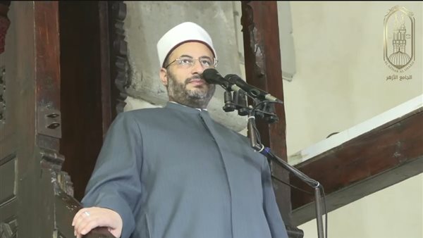 الدكتور محمود الهواري