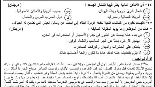  نموذج امتحان اللغة