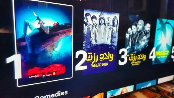 أحمد الفيشاوي 