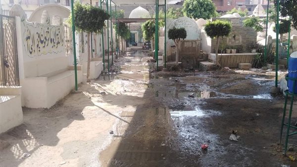 ضريح الشيخ الشعراوي