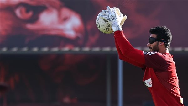 محمد الشناوي 