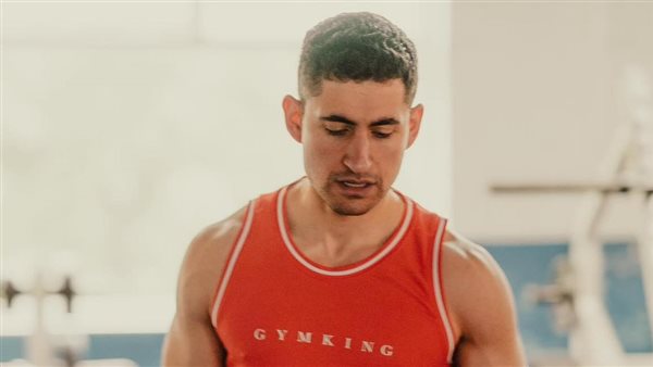 أمير المصري