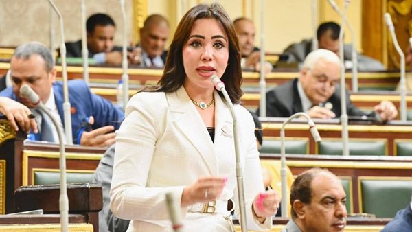 النائبة غادة علي