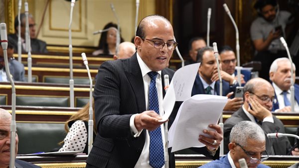 النائب عمرو القطامي