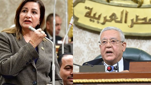 المستشار الدكتور