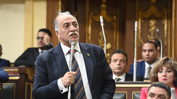 النائب عبدالهادي