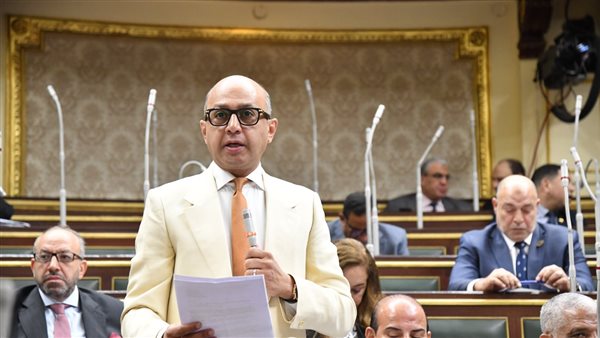 النائب هشام حسين