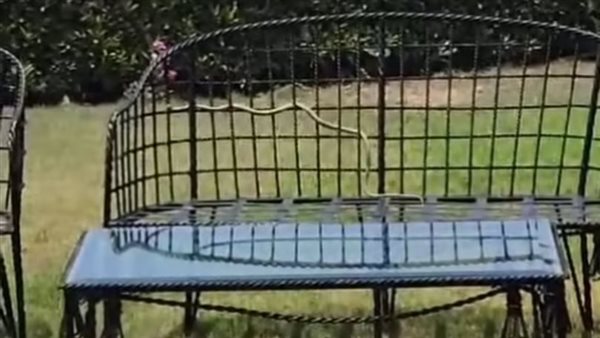 ثعبان في منزل نرمين